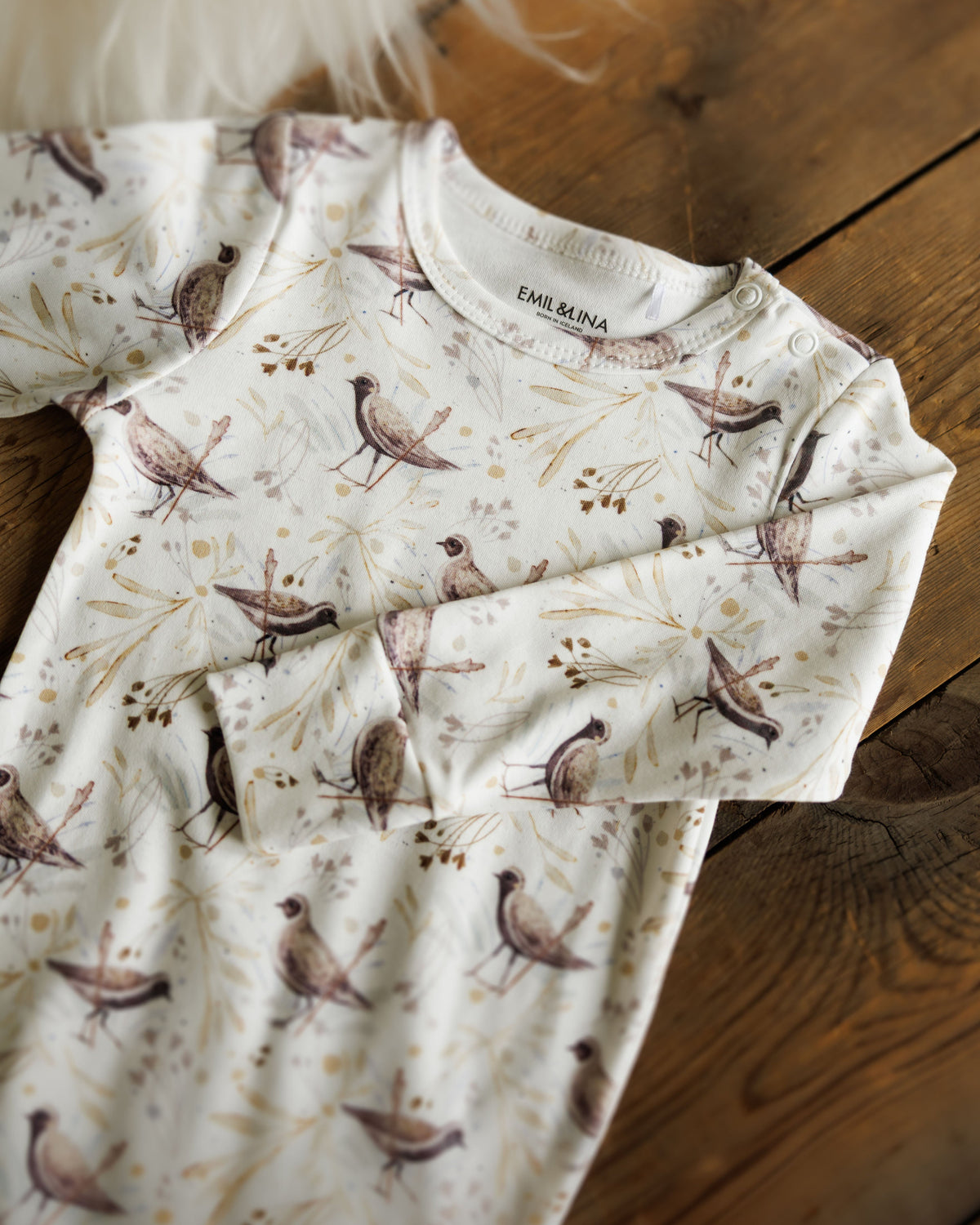 Golden plover