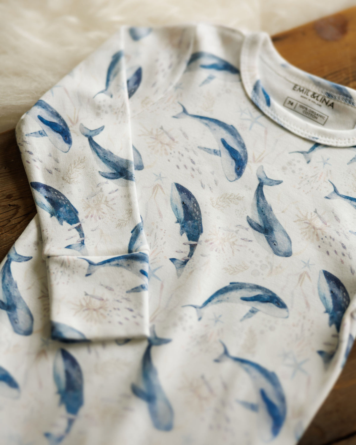 Whale