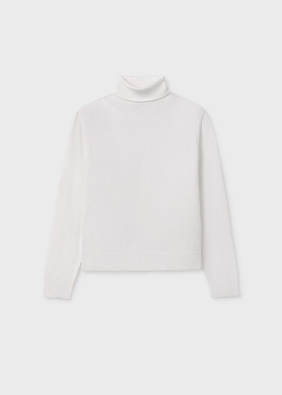 Basic knitting turtleneck