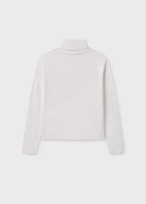 Basic knitting turtleneck