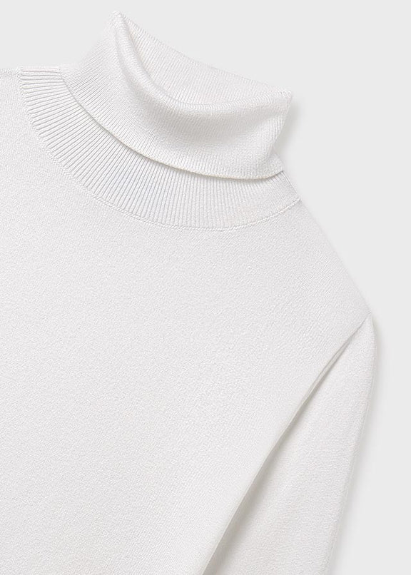 Basic knitting turtleneck