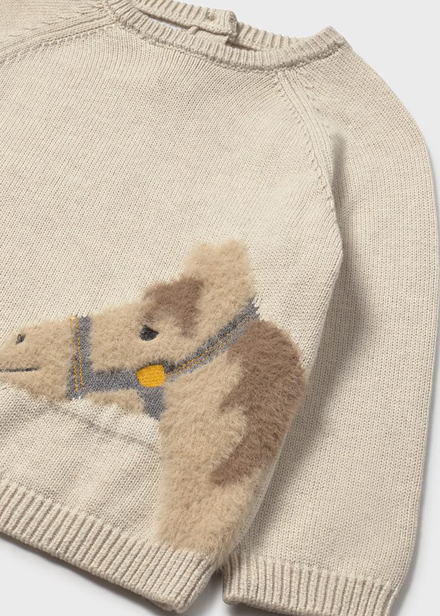 animal jumper