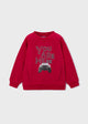 Car print pullover