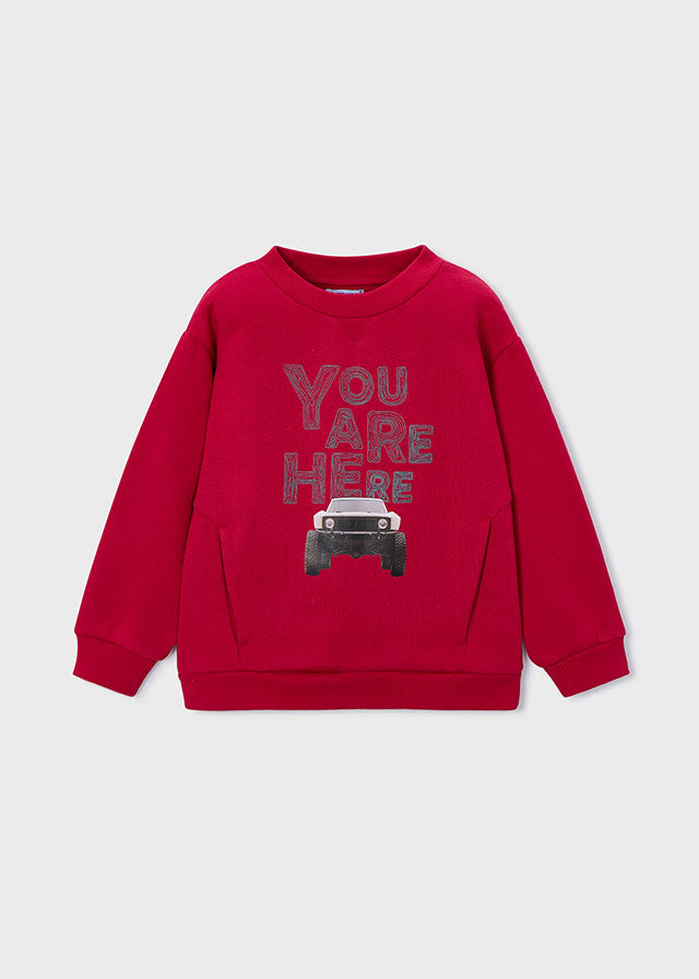 Car print pullover