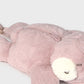 Backpack bear