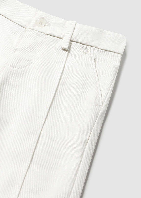 Dress pants