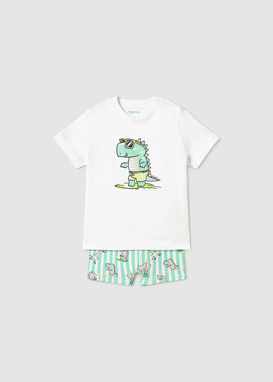 Swimsuit t-shirt set