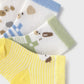 4pc set socks
