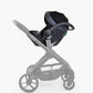 Cocoon Black
