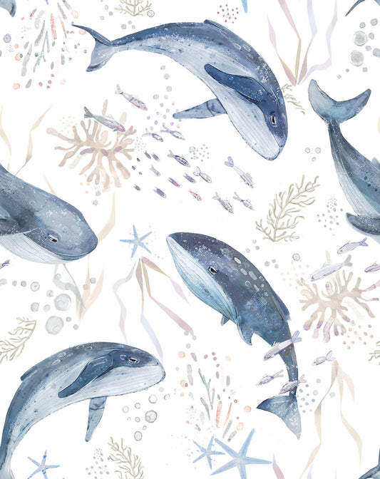 Náttgali með hvala mynstri